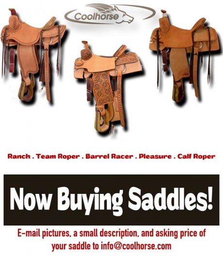 We are buying saddles!
