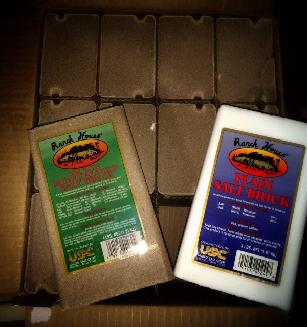 Salt Blocks for Horses - Not Just a Summer Concern