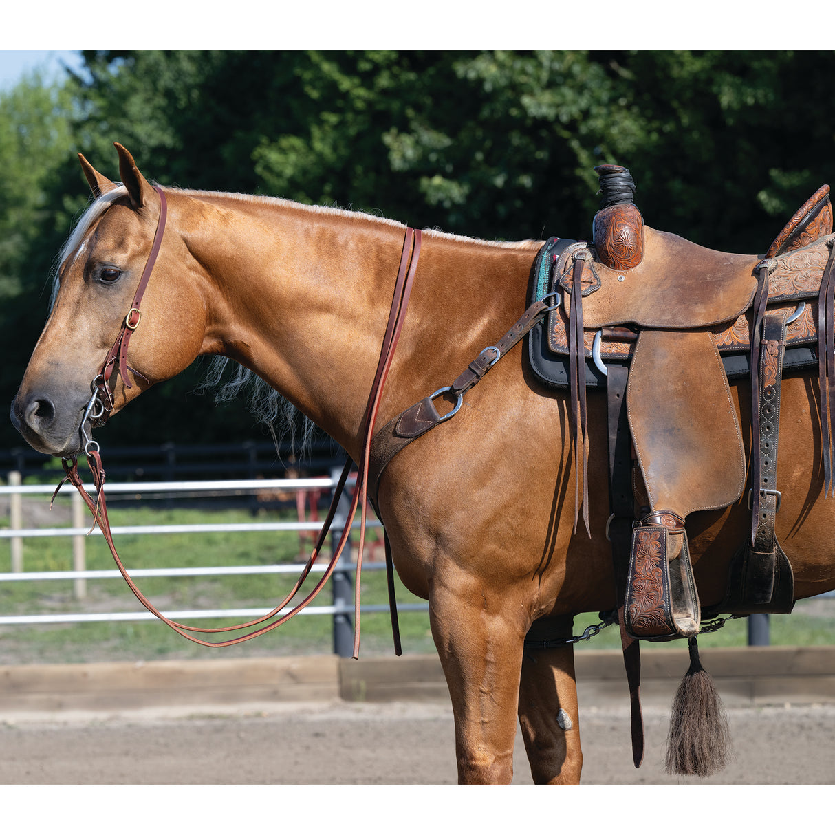 Weaver Leather Working Tack Single Buckle Slip Ear Headstall