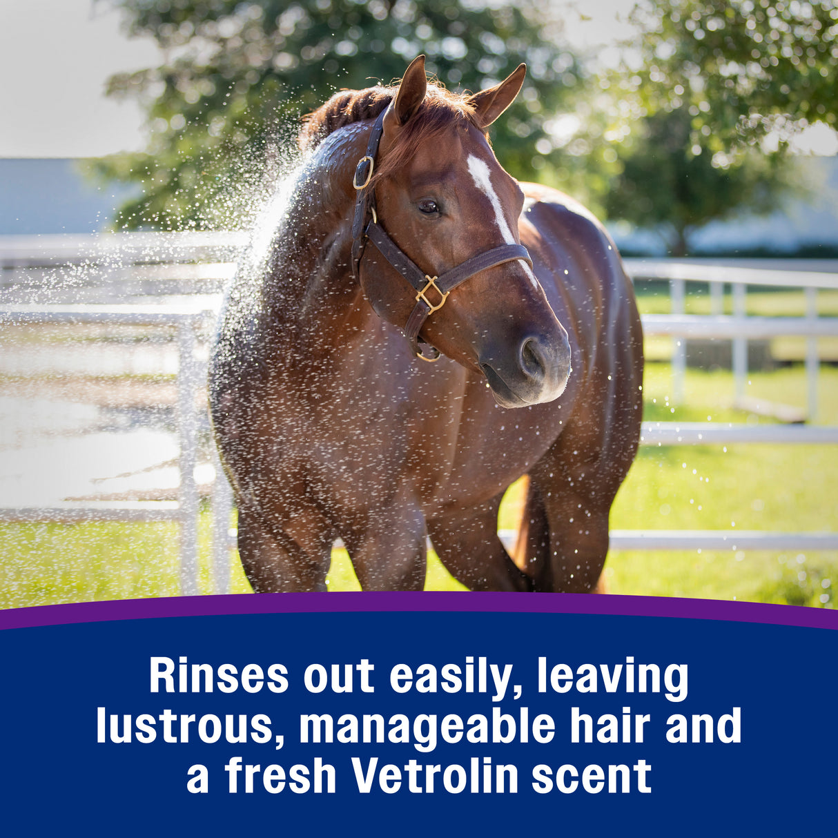 Farnam Vetrolin Bath Ultra-Hydrating Conditioning Shampoo- 64oz.