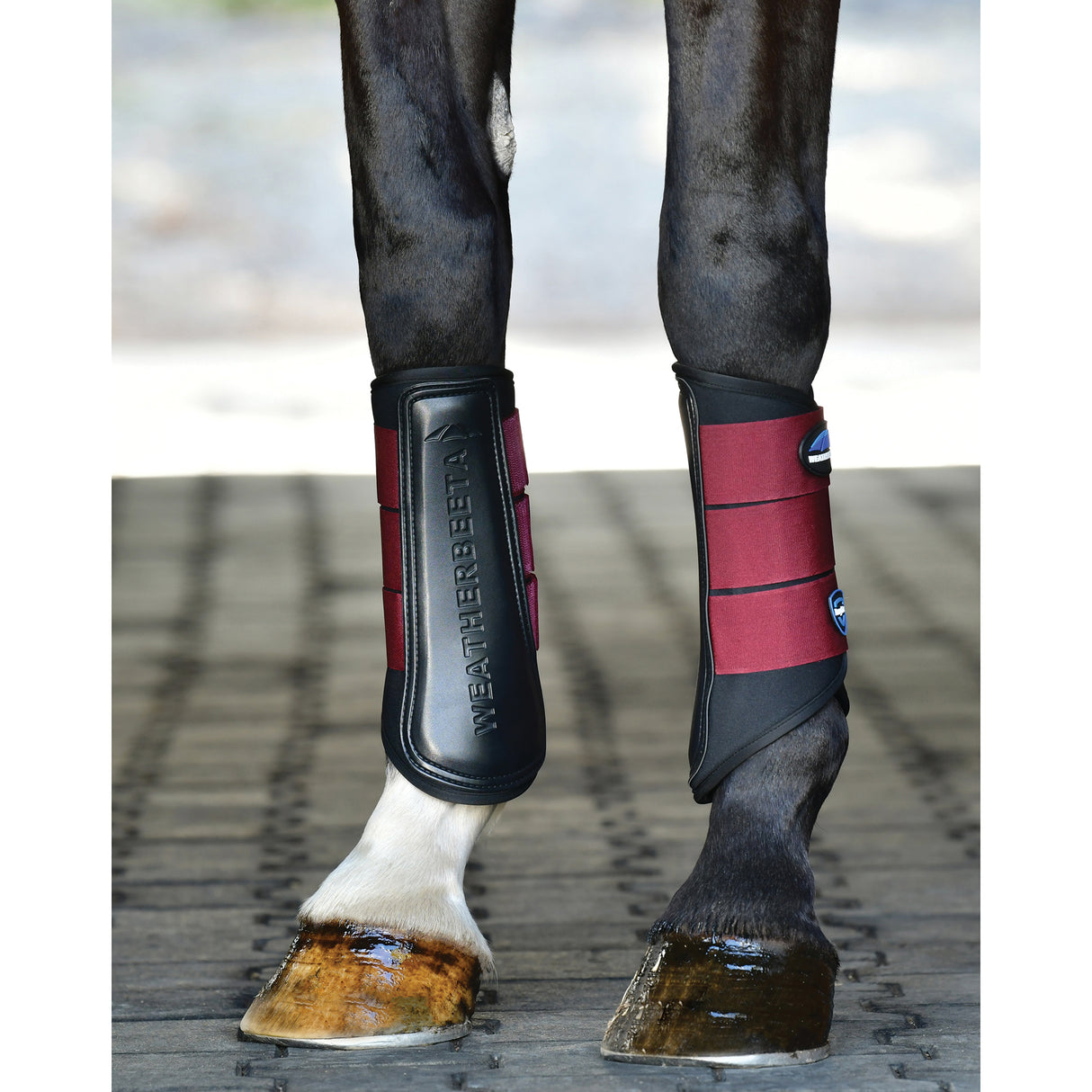 Weatherbeeta Tough-Tec Prime Brushing Boots- Black/Burgundy
