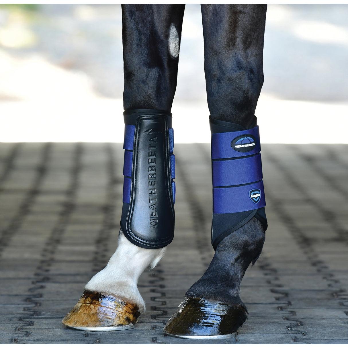 Weatherbeeta Tough-Tec Prime Brushing Boots- Black/Cobalt Blue