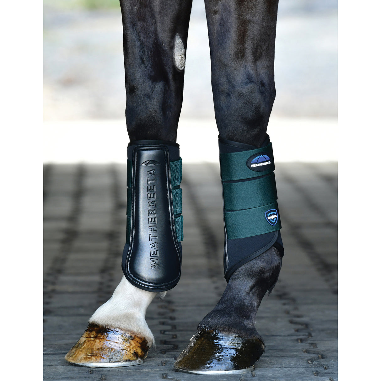 Weatherbeeta Tough-Tec Prime Brushing Boots- Black/Forest Green