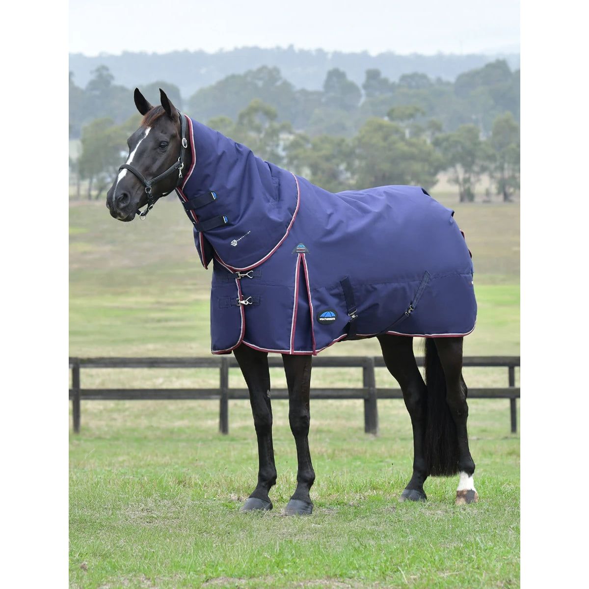 Weatherbeeta ComFiTec Essential Turnout Blanket Detach-A-Neck- 220G