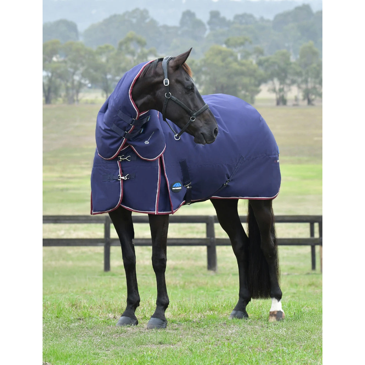 Weatherbeeta ComFiTec Essential Turnout Blanket Detach-A-Neck- 220G