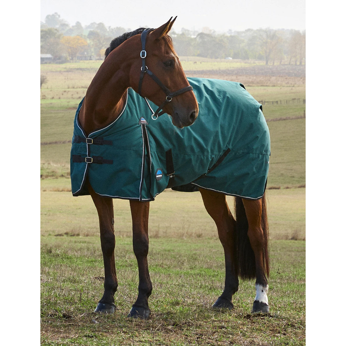 Weatherbeeta ComFiTec Classic Turnout Blanket- 220G