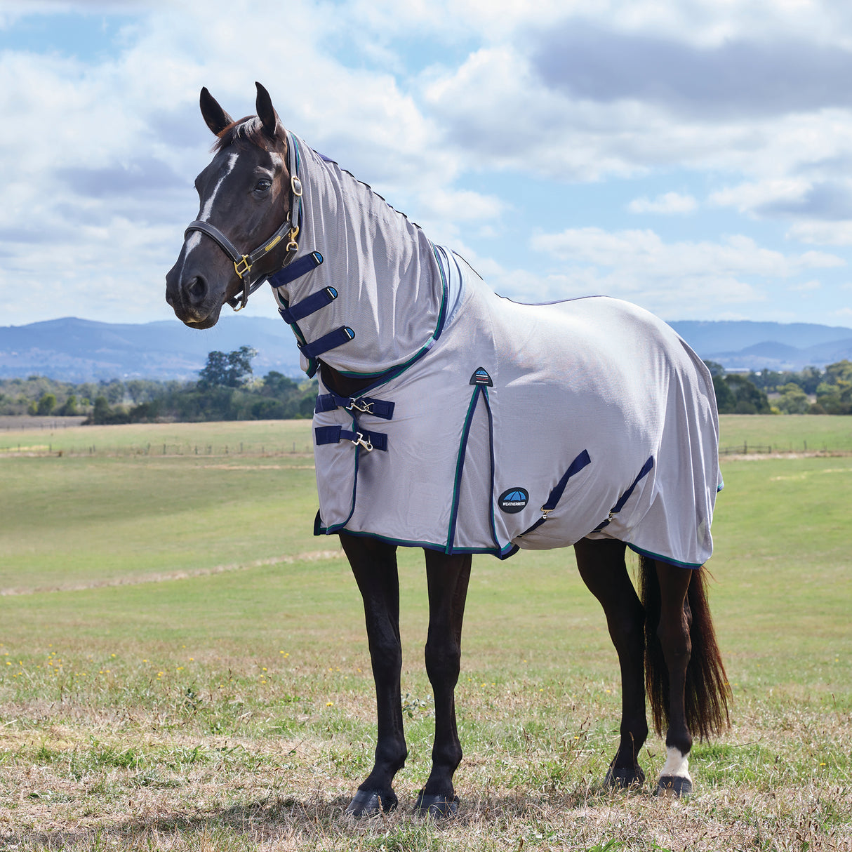Weatherbeeta ComFiTec Zephyr Fly Sheet Combo- Grey/Navy/Forest Green