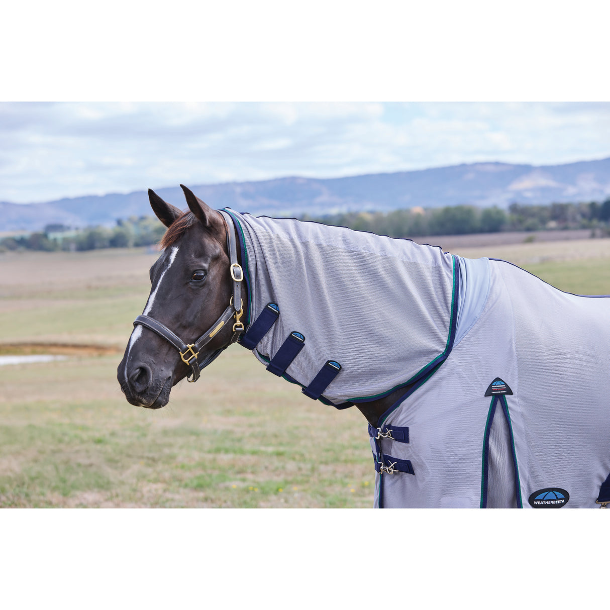Weatherbeeta ComFiTec Zephyr Fly Sheet Combo- Grey/Navy/Forest Green