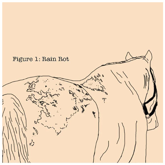Absorbine Fungasol Ointment 13oz