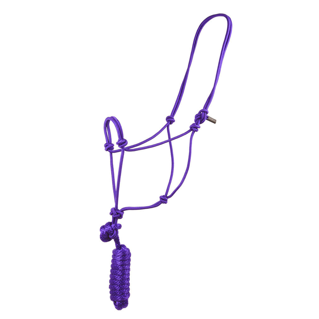 Coolhorse Purple Knotted Poly Rope Halter- 8' Lead