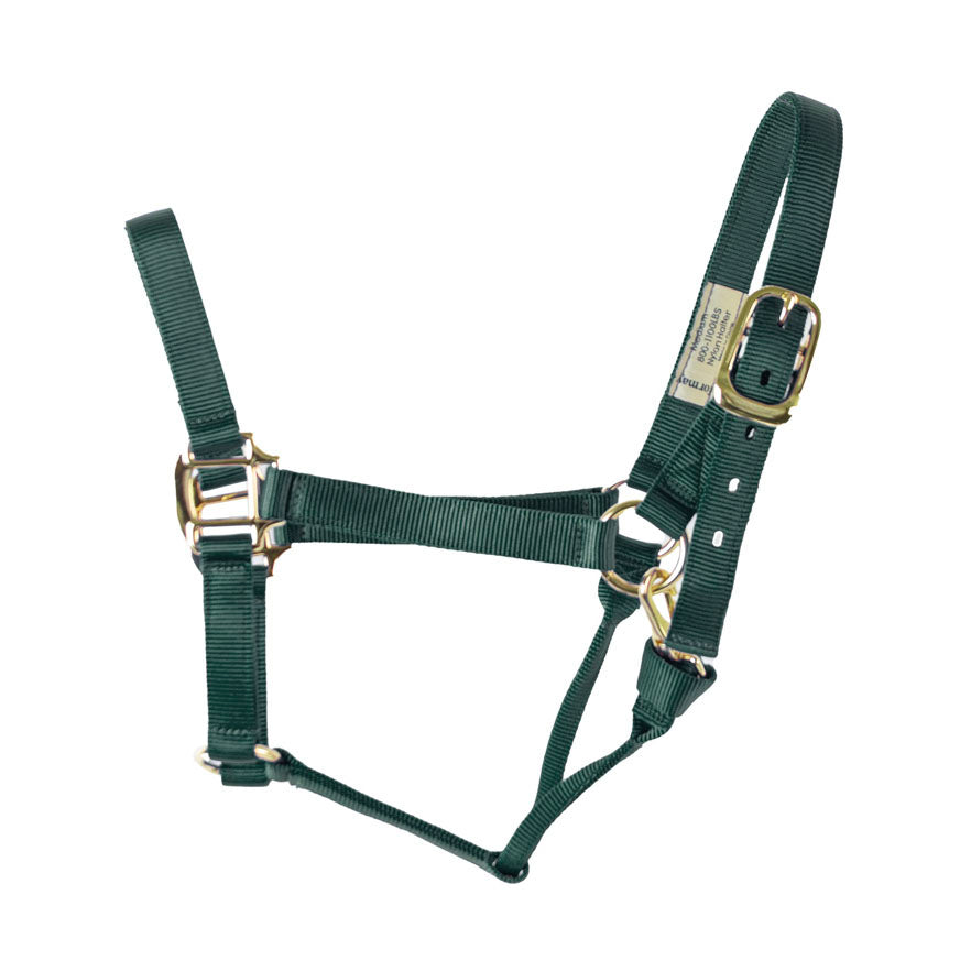 Coolhorse Nylon Buckle Halter-Hunter Green
