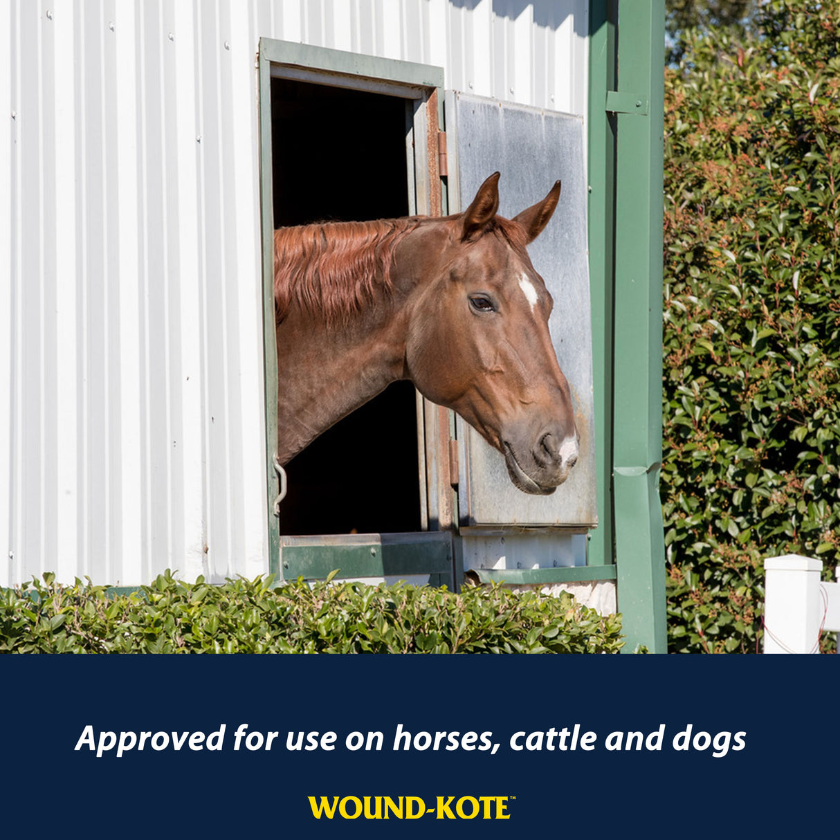 Farnam Wound-Kote Blue Lotion Spray Wound Dressing- 5oz.