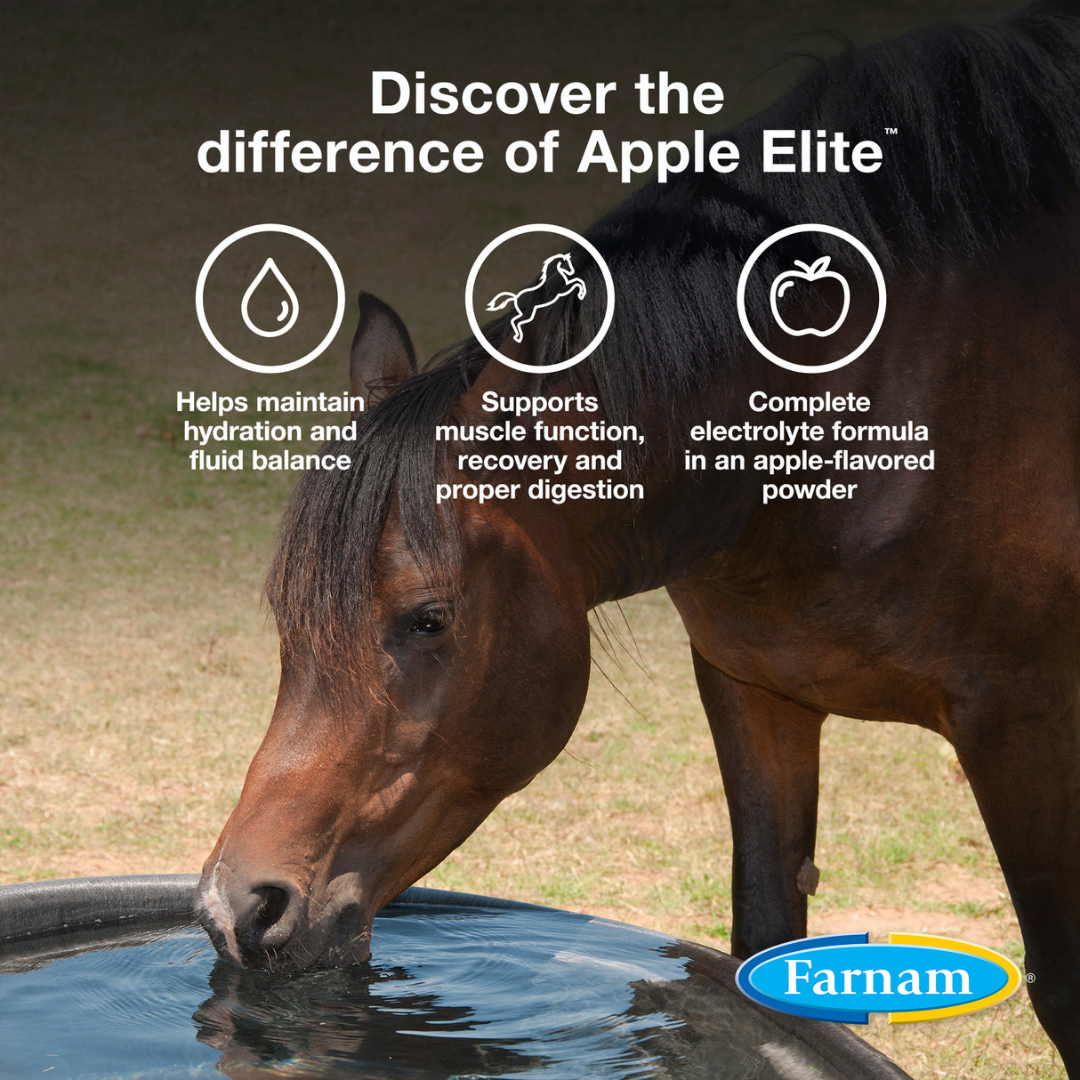 Farnam Apple Elite Electrolyte Powder- 20lb