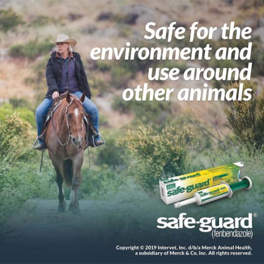 Merck Safe-Guard Dewormer (Fenbendazole) Paste 10% - 25g Tube