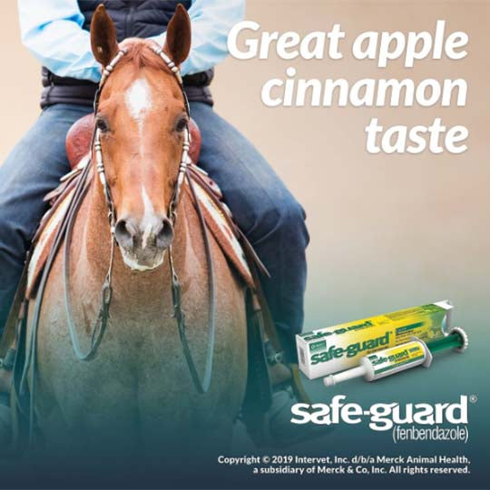 Merck Safe-Guard Dewormer (Fenbendazole) Paste 10% - 25g Tube