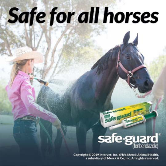 Merck Safe-Guard Dewormer (Fenbendazole) Paste 10% - 25g Tube