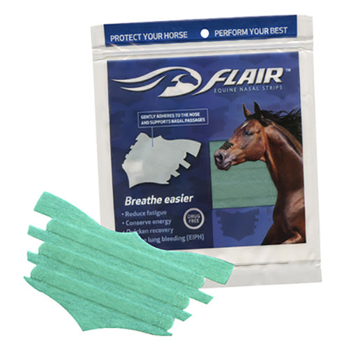 Flair Nasal Strip- Single