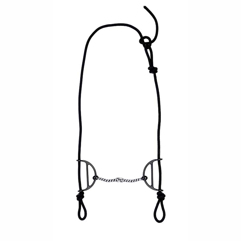 Metalab Twisted Wire Gag Bit