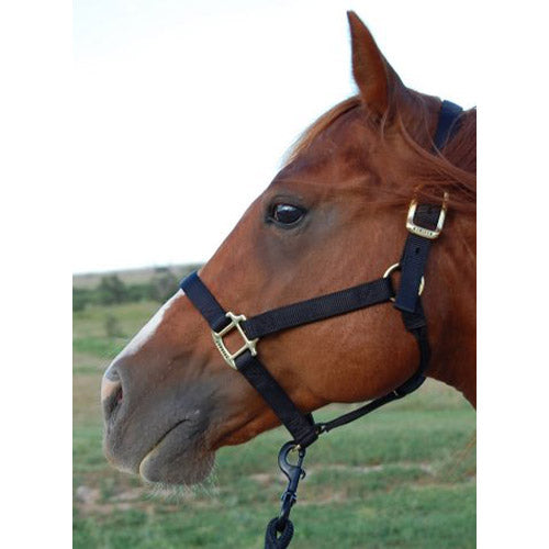 Weaver Leather 1" Basic Black Halter