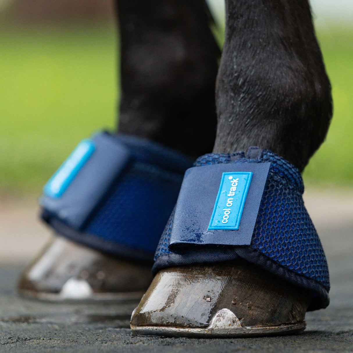 Back on Track Cool on Track Bell Boots