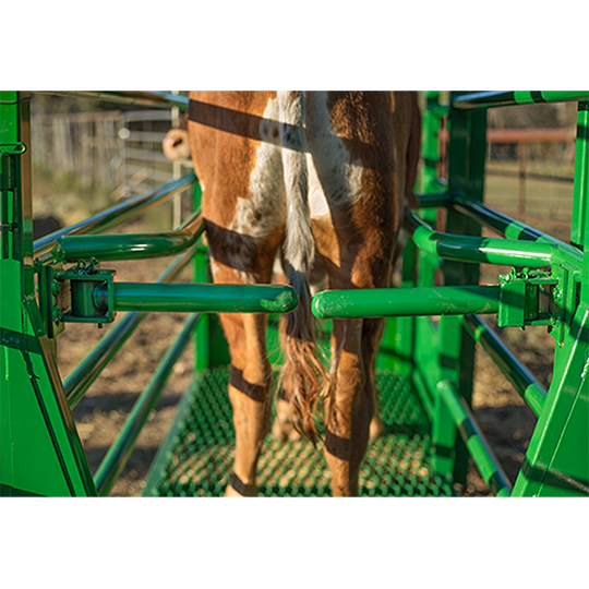 Chute Help Dual Alley Stops