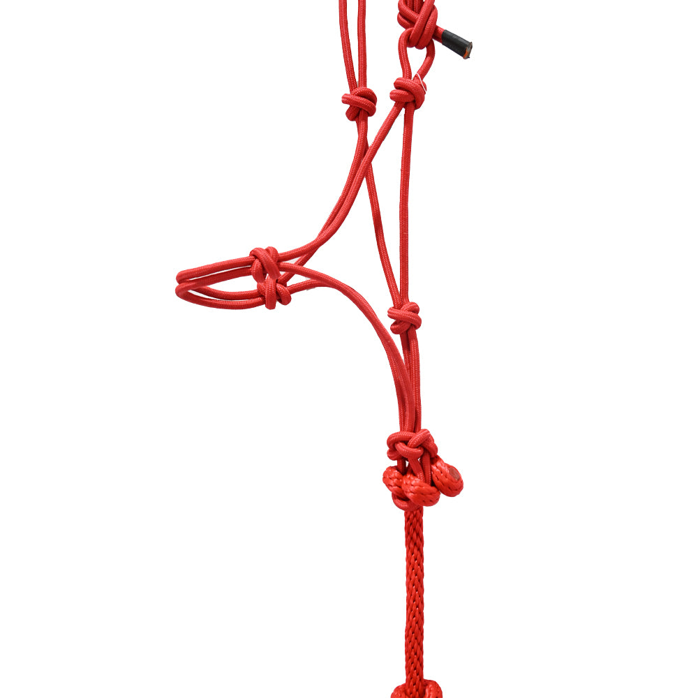 Tough 1 Mini Rope Halter with Lead Rope- Red