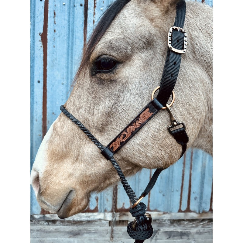 Schulz Equine Tooled Lariat Nose Halter