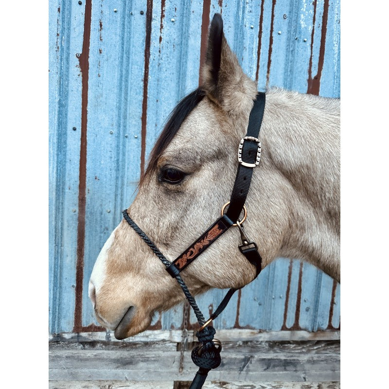 Schulz Equine Tooled Lariat Nose Halter