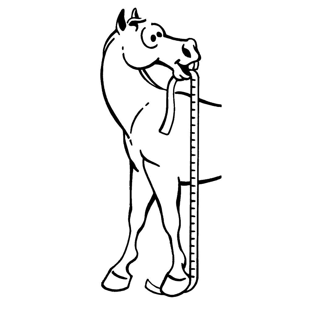 Tough 1 Sure Measure Horse and Pony Height and Weight Tape