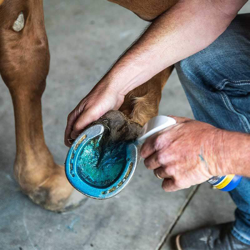 Vetericyn Hoof Care- 8oz.