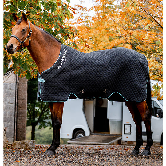 Horseware Autumn Cooling Sheet- Black/Aqua