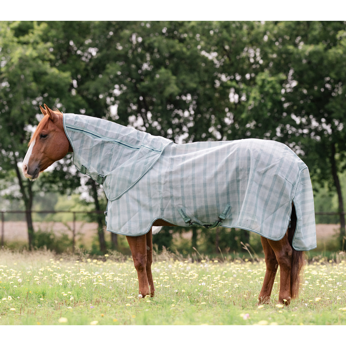 Horseware Newmarket Quarter Horse Plus Fly Sheet- Witney/Dynasty