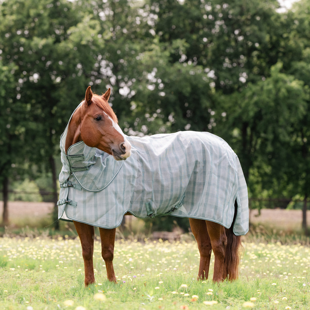 Horseware Newmarket Quarter Horse Plus Fly Sheet- Witney/Dynasty