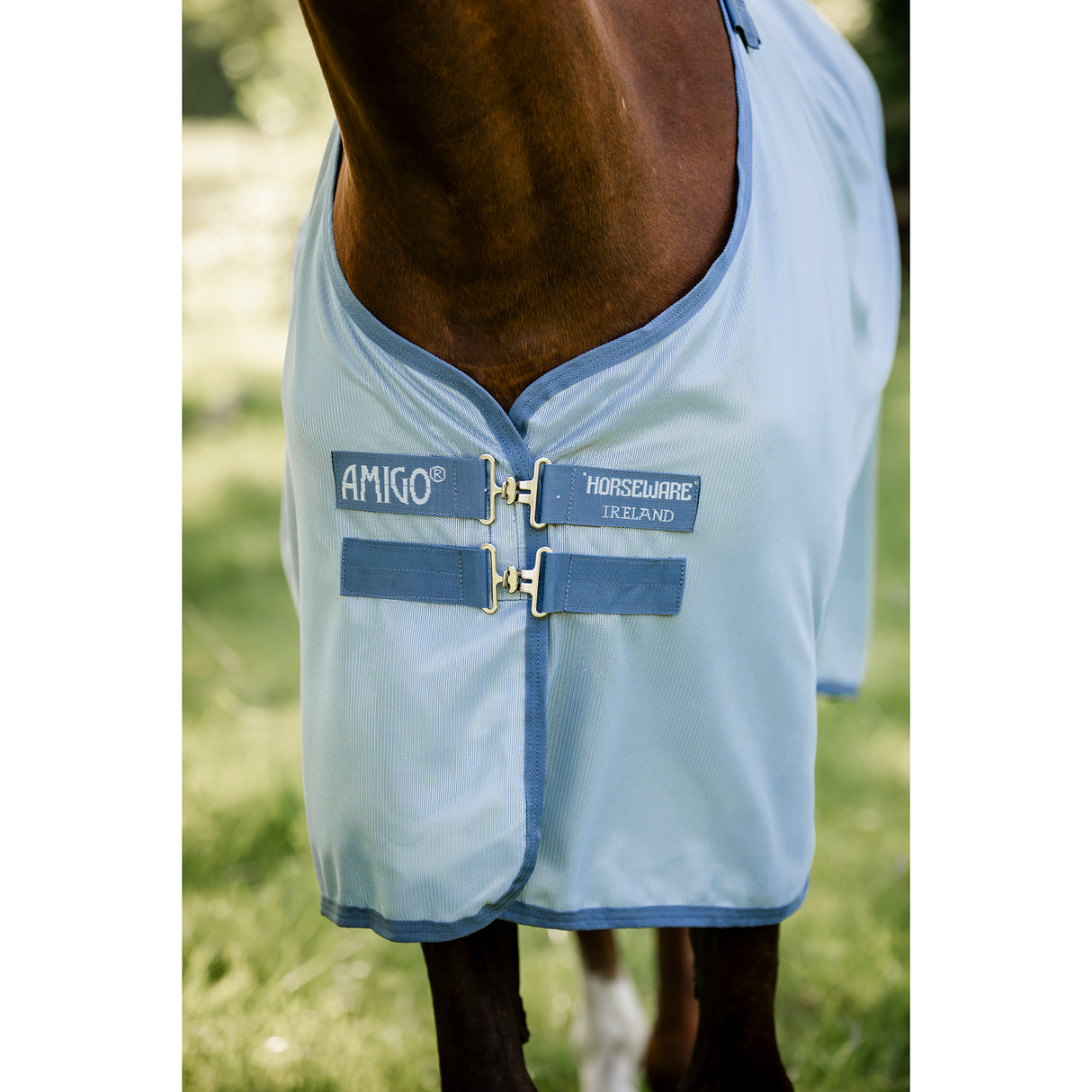 Horseware Amigo Bug Rug Plus Fly Sheet- Heather Blue/Blue/Silver