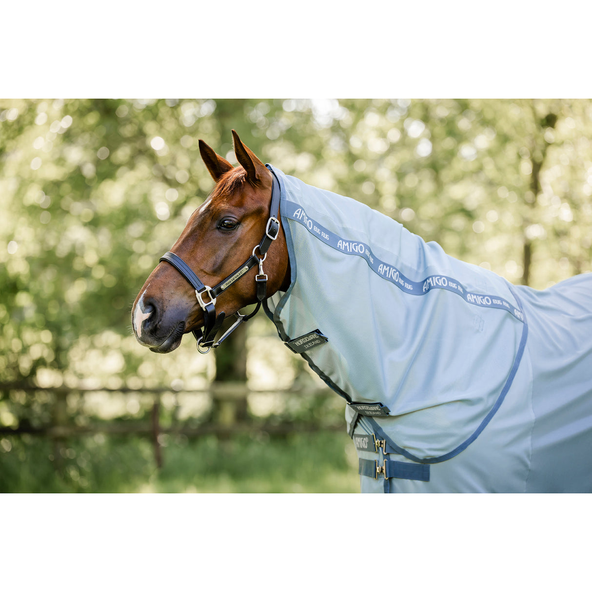 Horseware Amigo Bug Rug Plus Fly Sheet- Heather Blue/Blue/Silver
