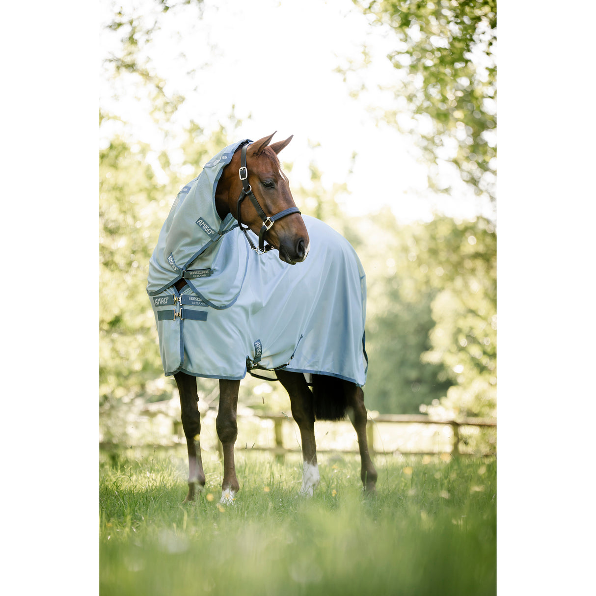 Horseware Amigo Bug Rug Plus Fly Sheet- Heather Blue/Blue/Silver