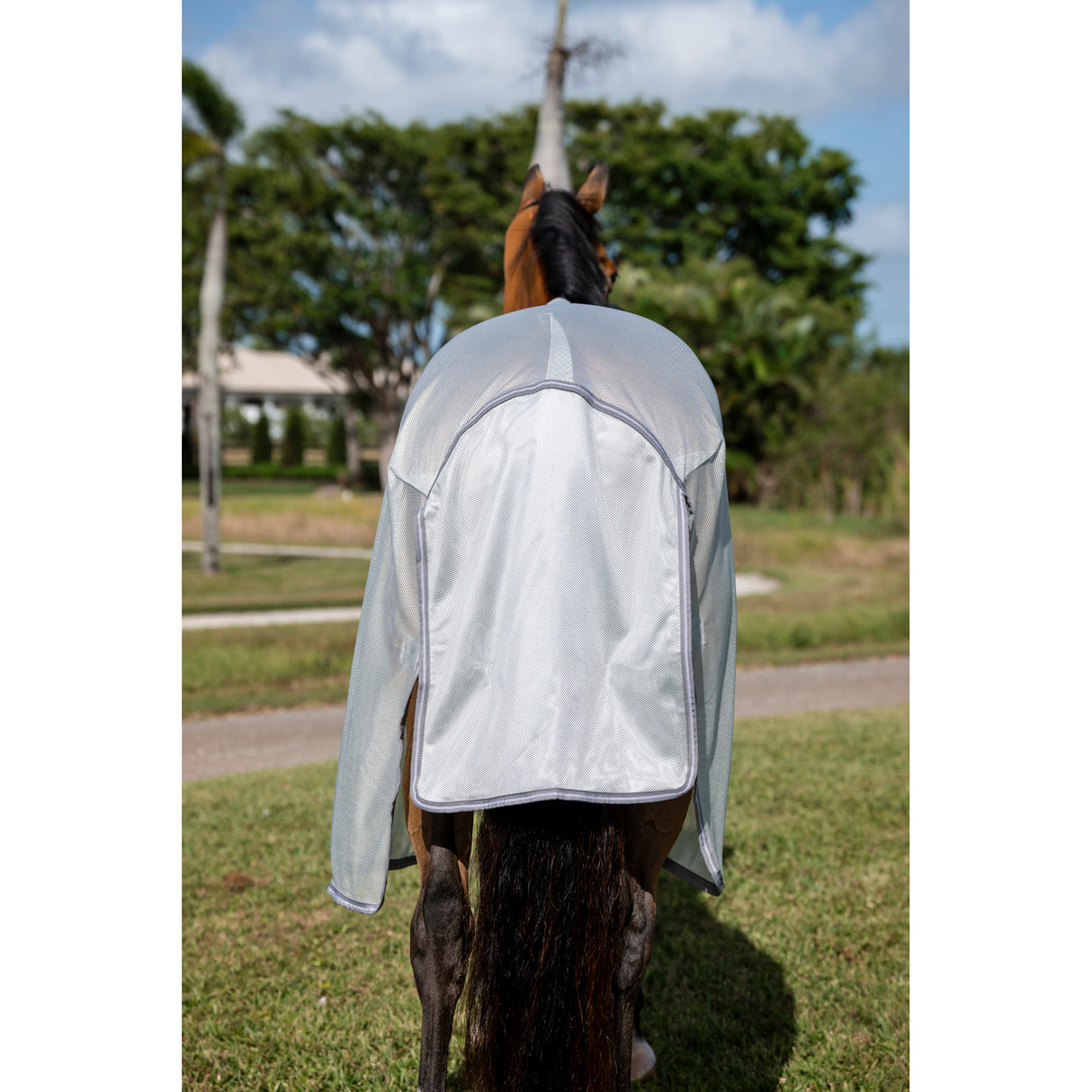 Horseware Amigo Bug Rug Plus Fly Sheet- Silver/Titanium Grey/Silver