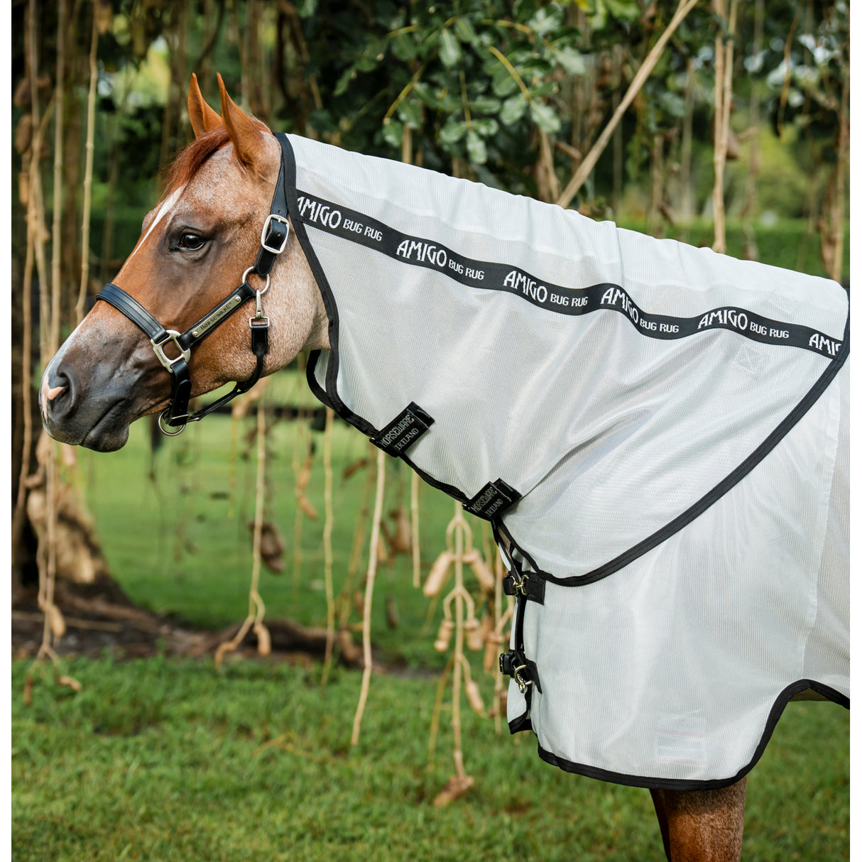 Horseware Amigo Quarter Horse Plus Fly Sheet- Silver/Black