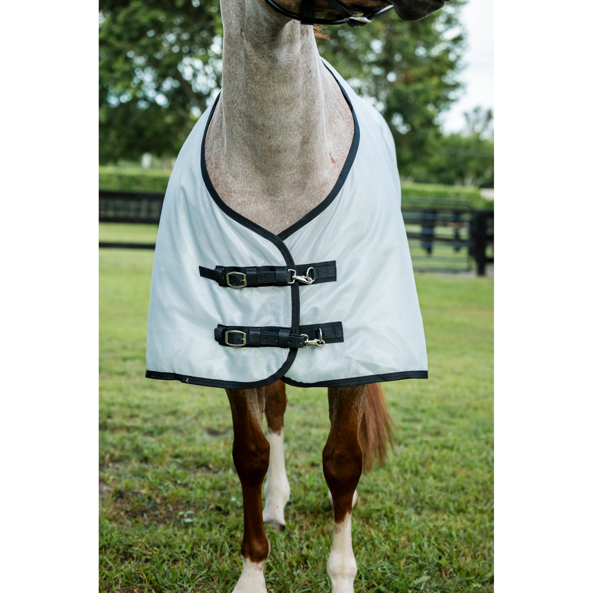 Horseware Amigo Quarter Horse Plus Fly Sheet- Silver/Black