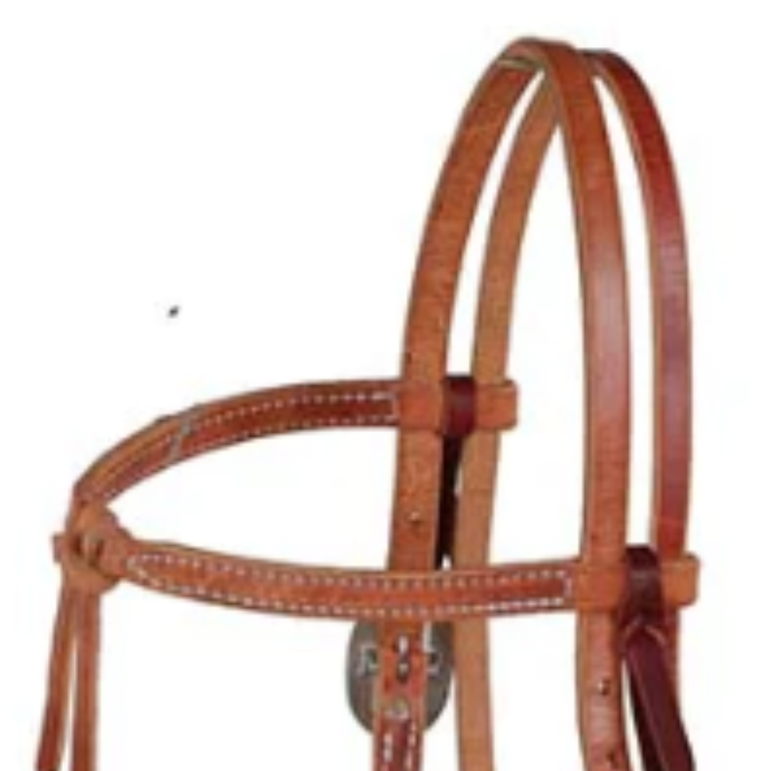 Berlin Custom Leather Futurity Knot Browband Headstall