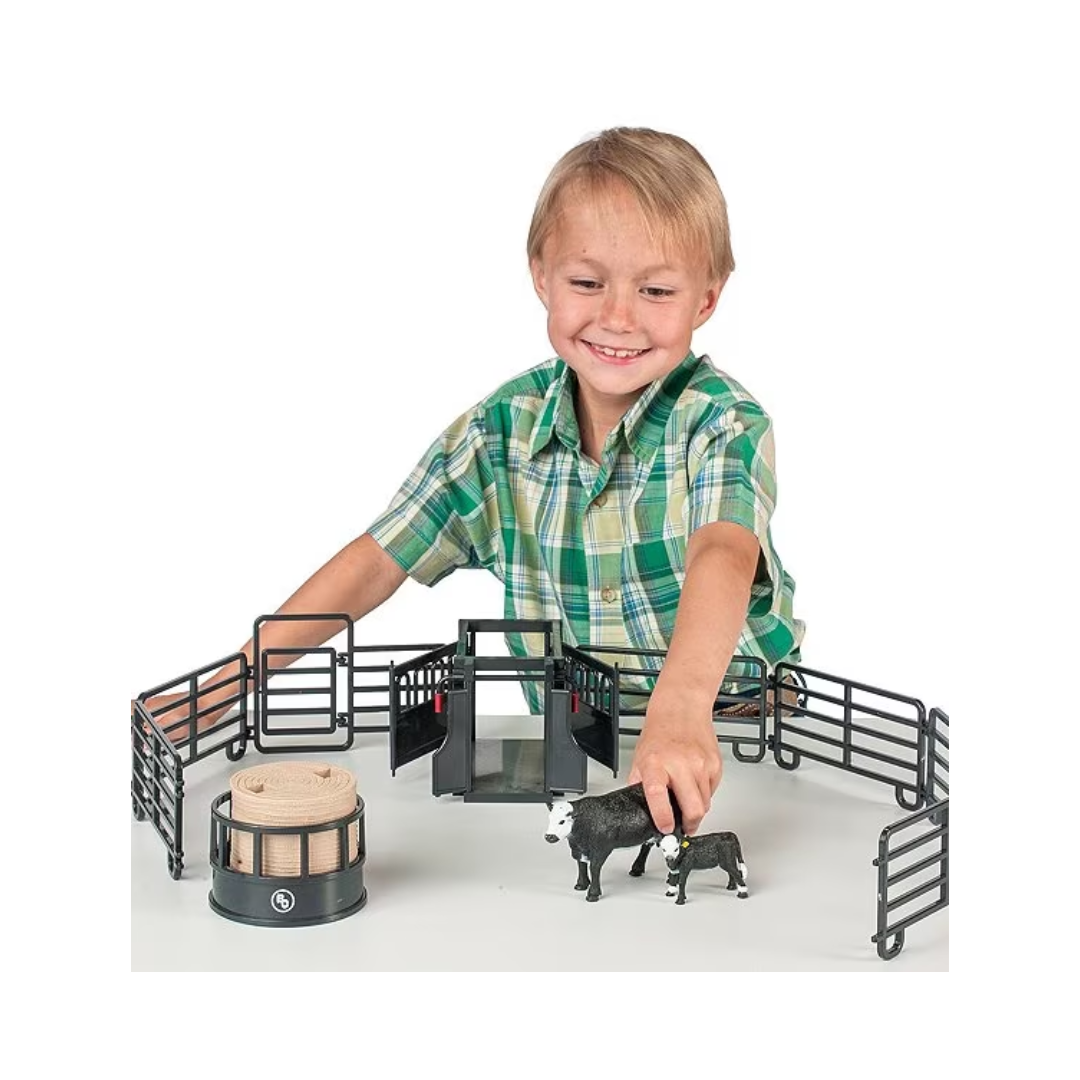 Big Country 12-Piece Ranch Set