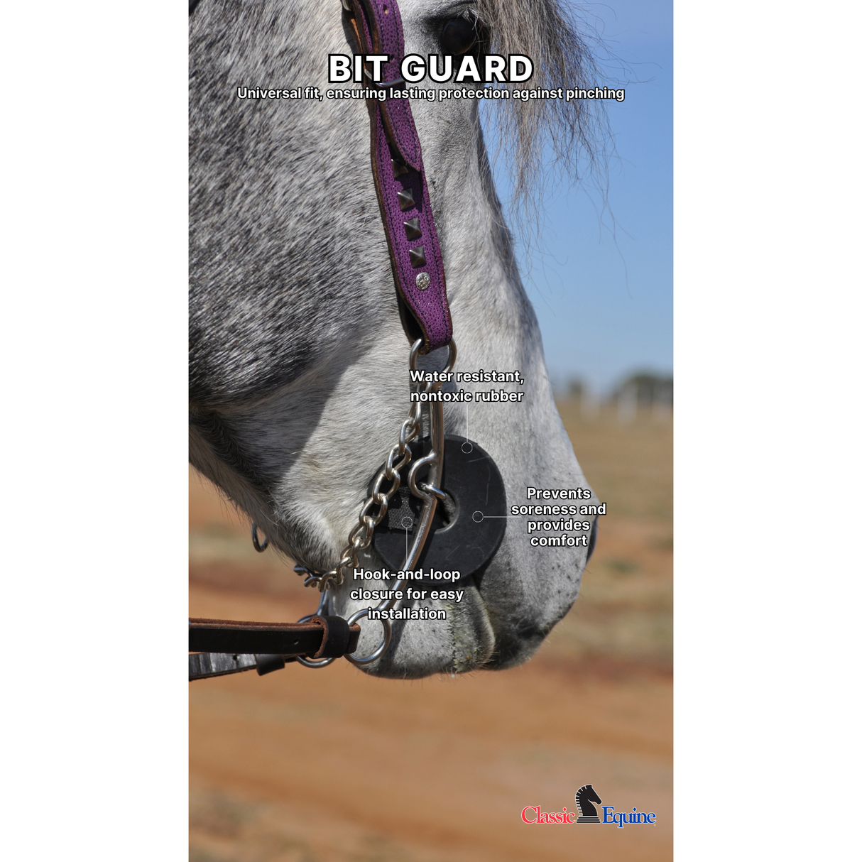 Cashel Black Bit Guard