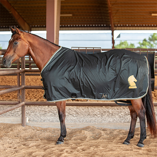 Classic Equine Open Front Nylon Stable Sheet- Black