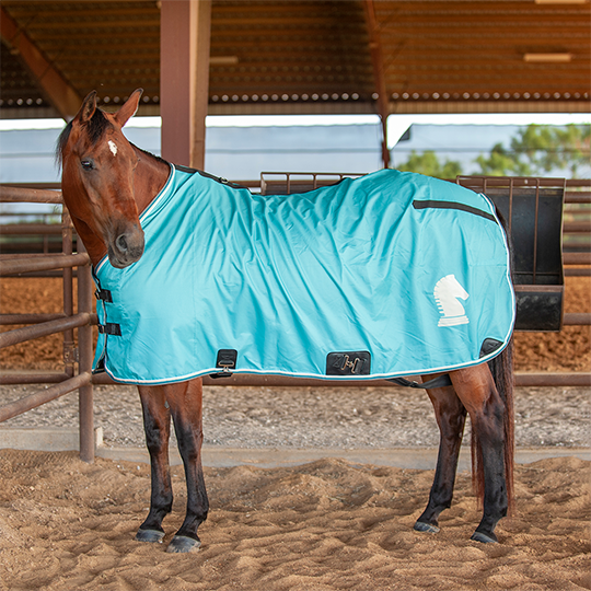 Classic Equine Open Front Nylon Stable Sheet- Turquoise