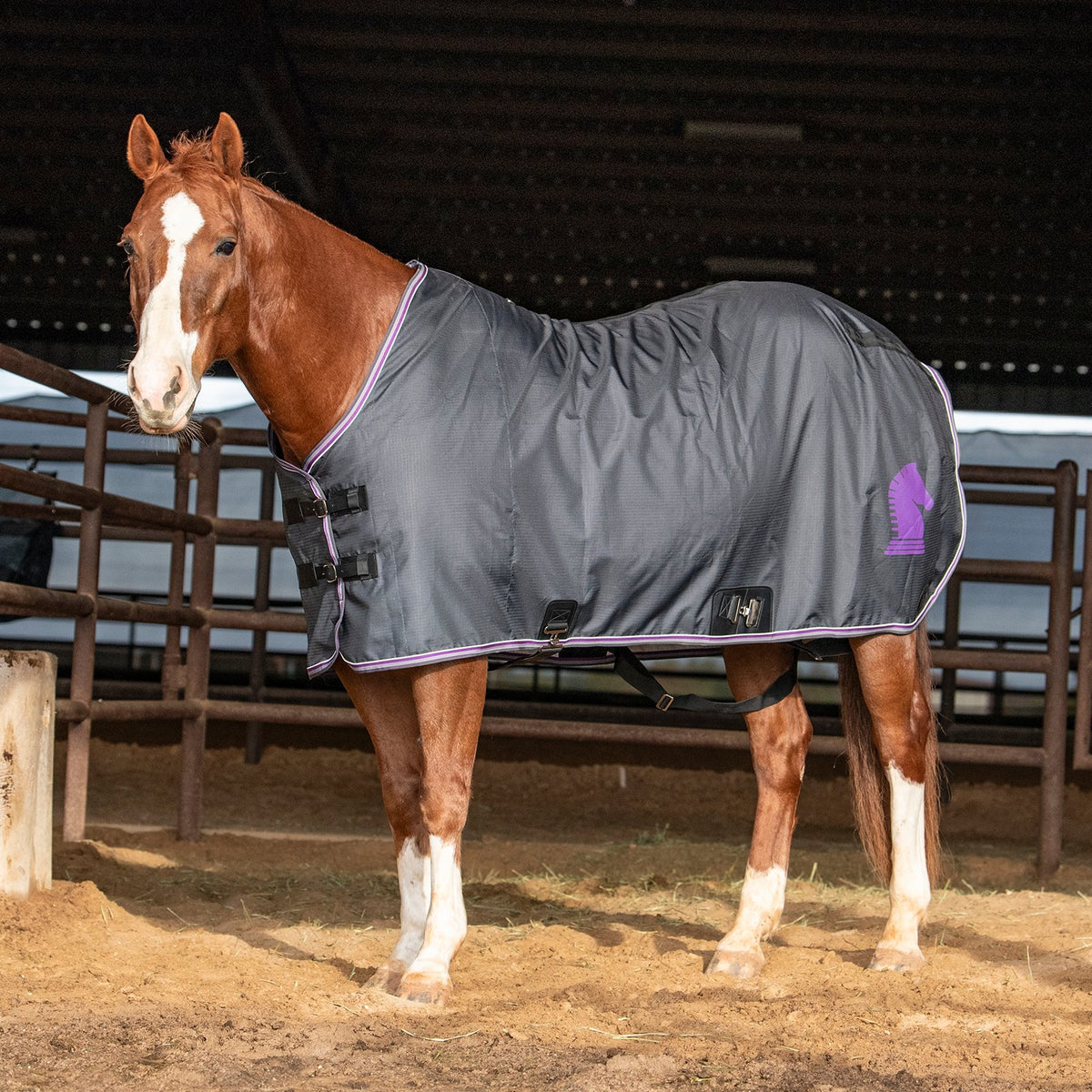 Classic Equine Open Front Nylon Stable Sheet- Charcoal