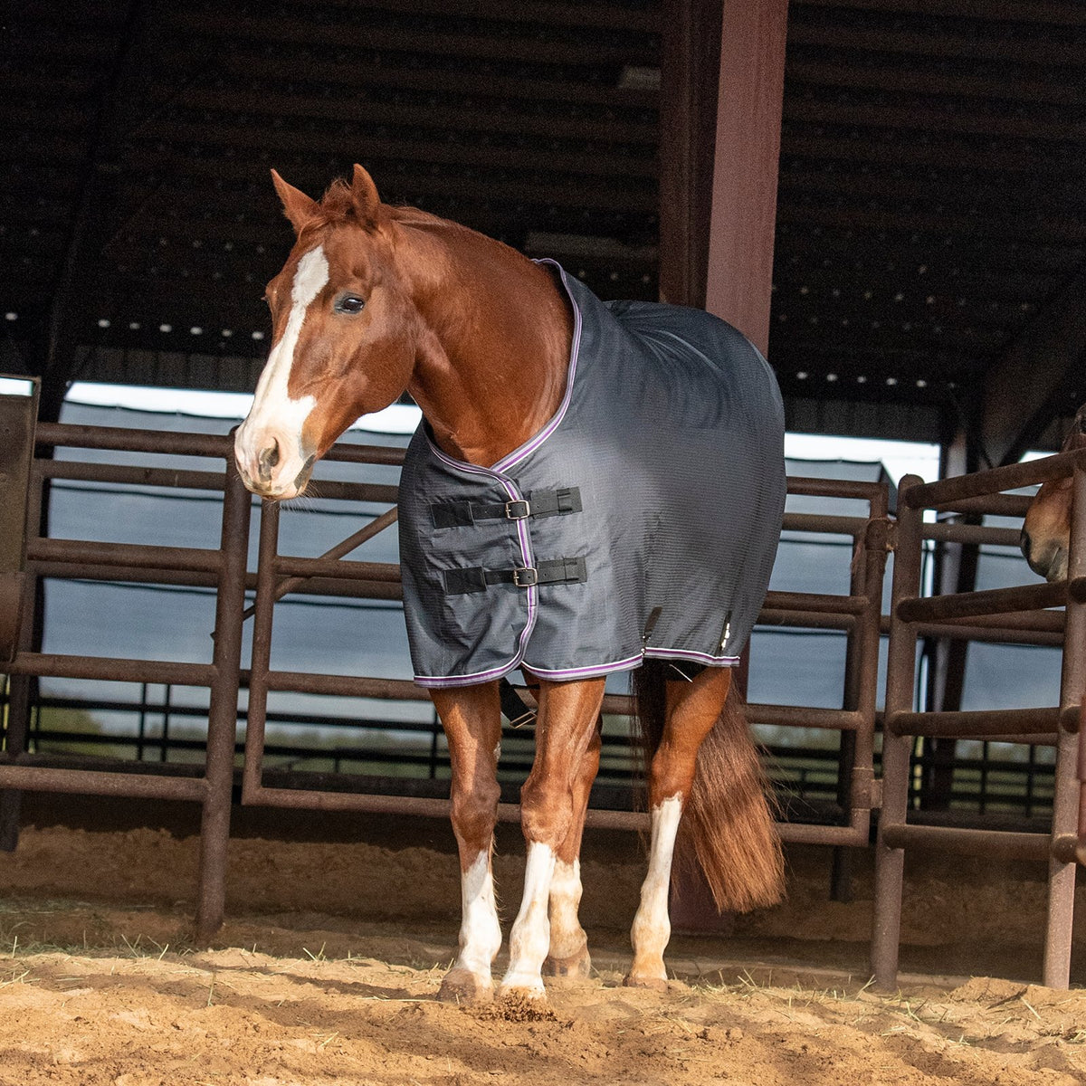 Classic Equine Open Front Nylon Stable Sheet- Charcoal