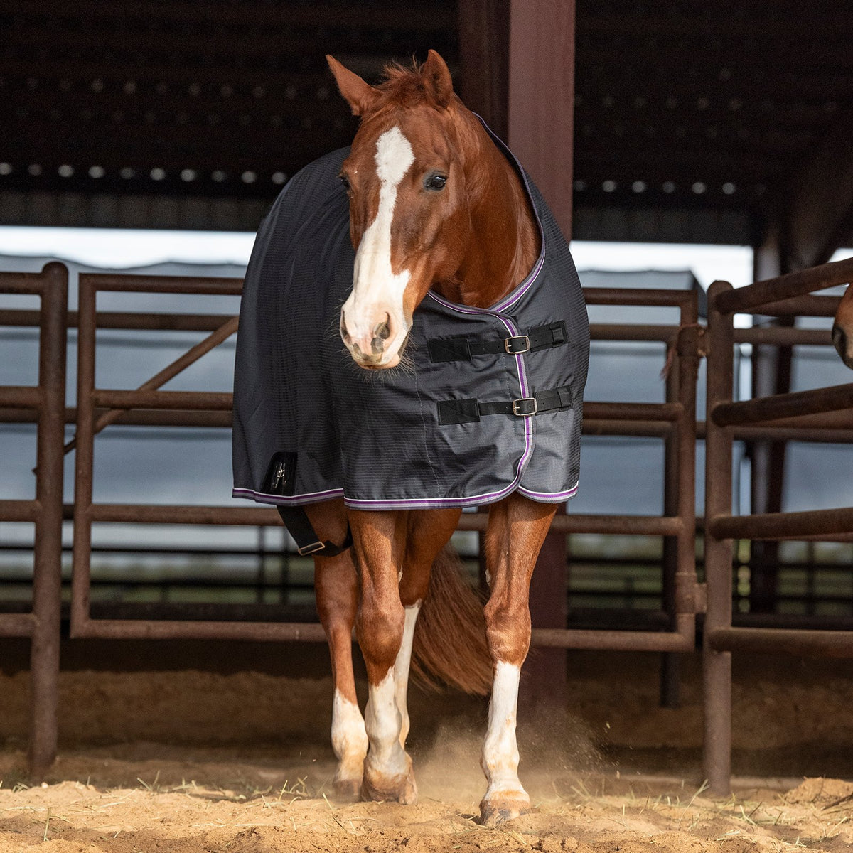Classic Equine Open Front Nylon Stable Sheet- Charcoal