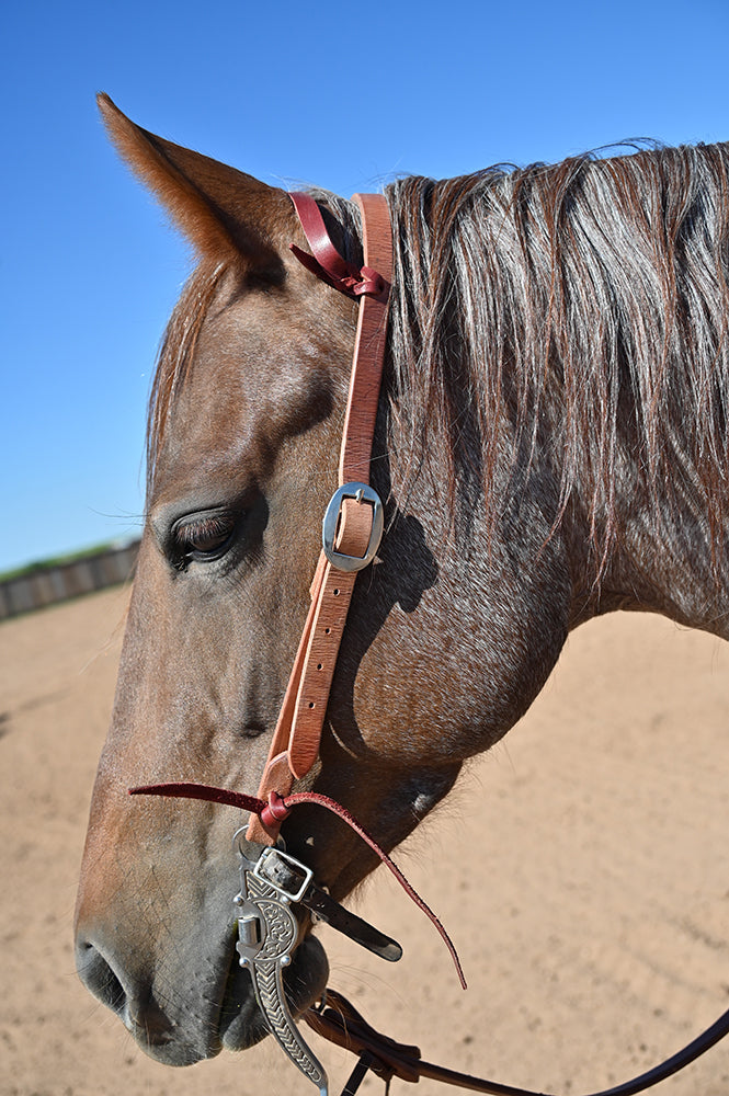 Coolhorse Leather 3/4" Harness Leather Slip Ear Working Cowboy Headstall