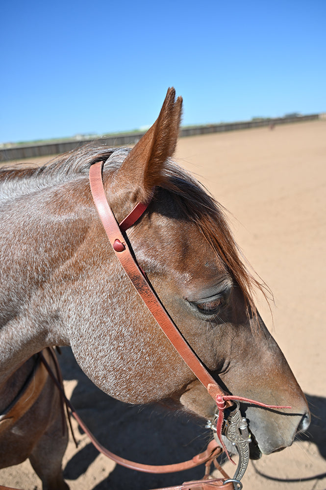 Coolhorse Leather 3/4" Harness Leather Slip Ear Working Cowboy Headstall