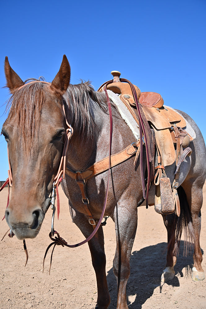Coolhorse Leather 5/8" Latigo Leather Split Reins 8'- Handmade in Amarillo, TX
